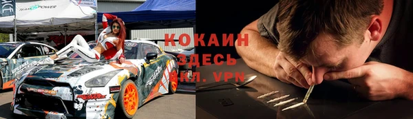 крисы Гусь-Хрустальный