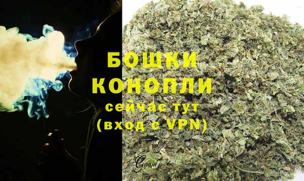 сатива Гусиноозёрск