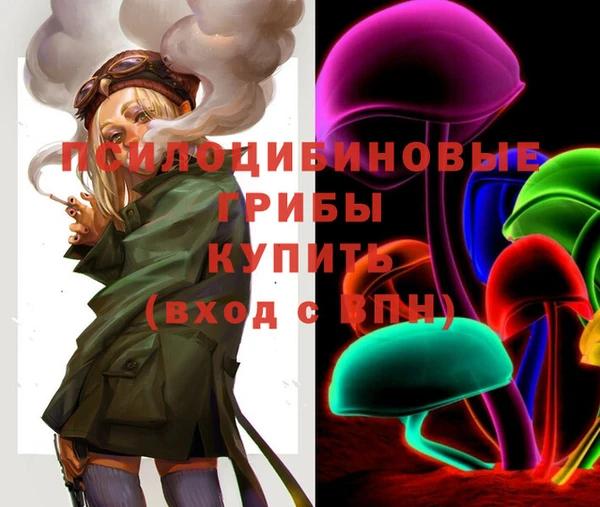 бошки Арсеньев