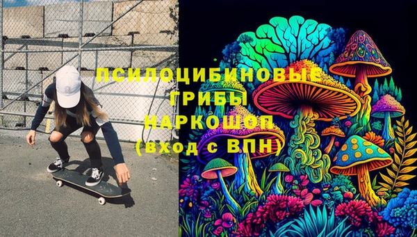 бошки Арсеньев